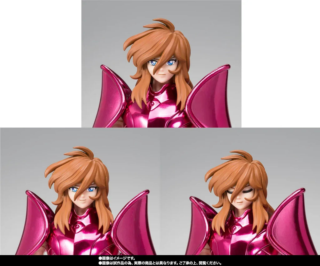 Pré-commande : Saint seiya Cloth Myth Ex Andromeda Shun Final Bronze Oce
