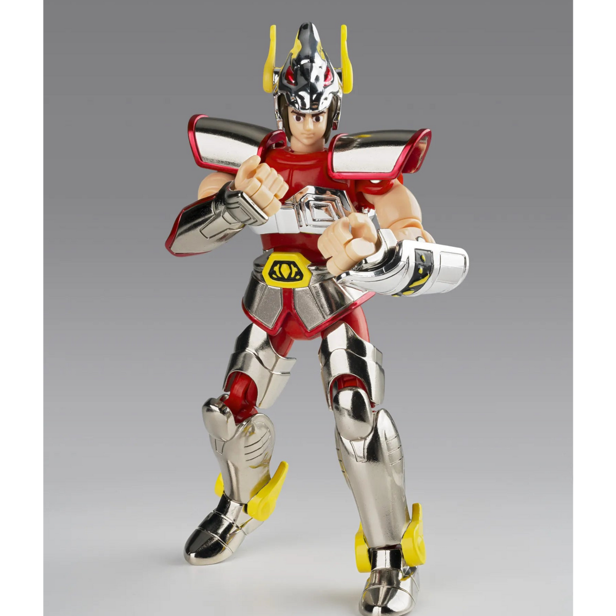 Saint Cloth Series Pegasus Cloth 1st Bronze -cloth Box Limited Edition