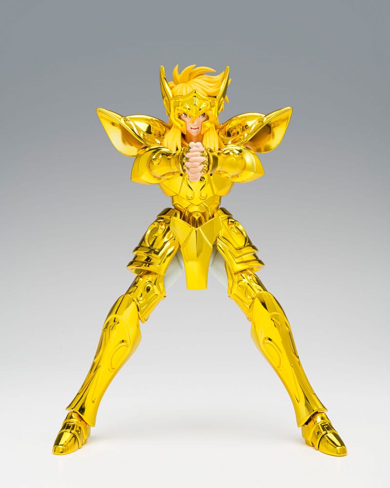 saint cloth myth ex aquarius hyoga inheritor of the gold cloth